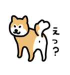 柴犬の気持ちになったスタンプ2（個別スタンプ：17）