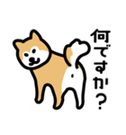 柴犬の気持ちになったスタンプ2（個別スタンプ：18）