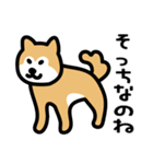 柴犬の気持ちになったスタンプ2（個別スタンプ：20）