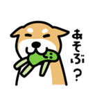 柴犬の気持ちになったスタンプ2（個別スタンプ：31）