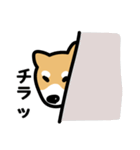 柴犬の気持ちになったスタンプ2（個別スタンプ：35）