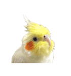 うちのカワイイちびっこたちPart14（個別スタンプ：1）