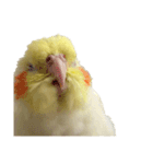 うちのカワイイちびっこたちPart14（個別スタンプ：2）
