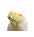 うちのカワイイちびっこたちPart14（個別スタンプ：7）