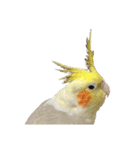 うちのカワイイちびっこたちPart14（個別スタンプ：14）