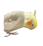 うちのカワイイちびっこたちPart14（個別スタンプ：15）