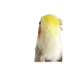 うちのカワイイちびっこたちPart14（個別スタンプ：18）