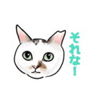 猫の絵、犬の絵スタンプ。（個別スタンプ：1）