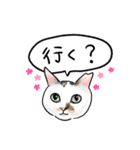 猫の絵、犬の絵スタンプ。（個別スタンプ：4）