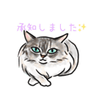 猫の絵、犬の絵スタンプ。（個別スタンプ：10）