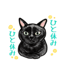 猫の絵、犬の絵スタンプ。（個別スタンプ：11）