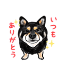 猫の絵、犬の絵スタンプ。（個別スタンプ：24）