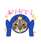 猫の絵、犬の絵スタンプ。（個別スタンプ：28）