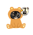 猫の絵、犬の絵スタンプ。（個別スタンプ：31）