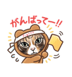 猫の絵、犬の絵スタンプ。（個別スタンプ：36）