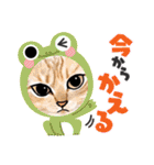 猫の絵、犬の絵スタンプ。（個別スタンプ：37）