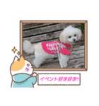 LUNA＆SEAだワン！！会話もっともっと楽しんで（個別スタンプ：4）