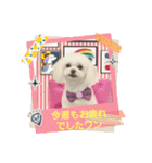 LUNA＆SEAだワン！！会話もっともっと楽しんで（個別スタンプ：8）