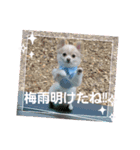 LUNA＆SEAやねーいっぱい会話しょうねー（個別スタンプ：1）