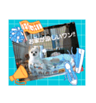 LUNA＆SEAやねーいっぱい会話しょうねー（個別スタンプ：4）