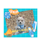 LUNA＆SEAやねーいっぱい会話しょうねー（個別スタンプ：5）