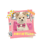 LUNA＆SEAやねーいっぱい会話しょうねー（個別スタンプ：6）