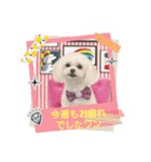 LUNA＆SEAやねーいっぱい会話しょうねー（個別スタンプ：7）