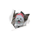 LUNA＆SEAやねーいっぱい会話しょうねー（個別スタンプ：8）