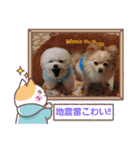 LUNA＆SEAやねーいっぱい会話しょうねー（個別スタンプ：10）