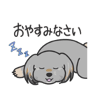 愛犬ナナちゃん（個別スタンプ：20）