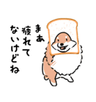 パンをかぶった犬（個別スタンプ：2）