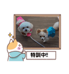 LUNA＆SEAです！！いっぱい会話ちびっと会話（個別スタンプ：3）