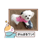LUNA＆SEAです！！いっぱい会話ちびっと会話（個別スタンプ：4）