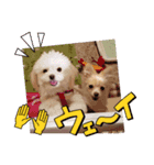 LUNA＆SEAです！！いっぱい会話ちびっと会話（個別スタンプ：5）