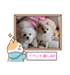 LUNA＆SEAです！！いっぱい会話ちびっと会話（個別スタンプ：6）