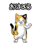 猫じゃ² その1（日常会話用）（個別スタンプ：1）