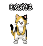 猫じゃ² その1（日常会話用）（個別スタンプ：3）