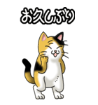 猫じゃ² その1（日常会話用）（個別スタンプ：4）