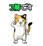 猫じゃ² その1（日常会話用）（個別スタンプ：5）