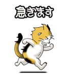 猫じゃ² その1（日常会話用）（個別スタンプ：10）