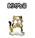 猫じゃ² その1（日常会話用）（個別スタンプ：13）