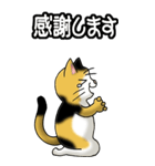 猫じゃ² その1（日常会話用）（個別スタンプ：14）