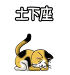 猫じゃ² その1（日常会話用）（個別スタンプ：16）