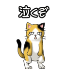 猫じゃ² その1（日常会話用）（個別スタンプ：25）