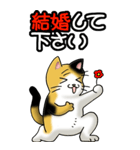 猫じゃ² その1（日常会話用）（個別スタンプ：35）