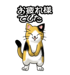 猫じゃ² その1（日常会話用）（個別スタンプ：38）