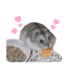 うちのハムスターのお返事（個別スタンプ：6）