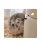 うちのハムスターのお返事（個別スタンプ：16）