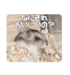うちのハムスターのお返事（個別スタンプ：20）