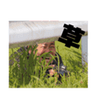 おバイクぶんぶん！！（ネタ）（個別スタンプ：31）